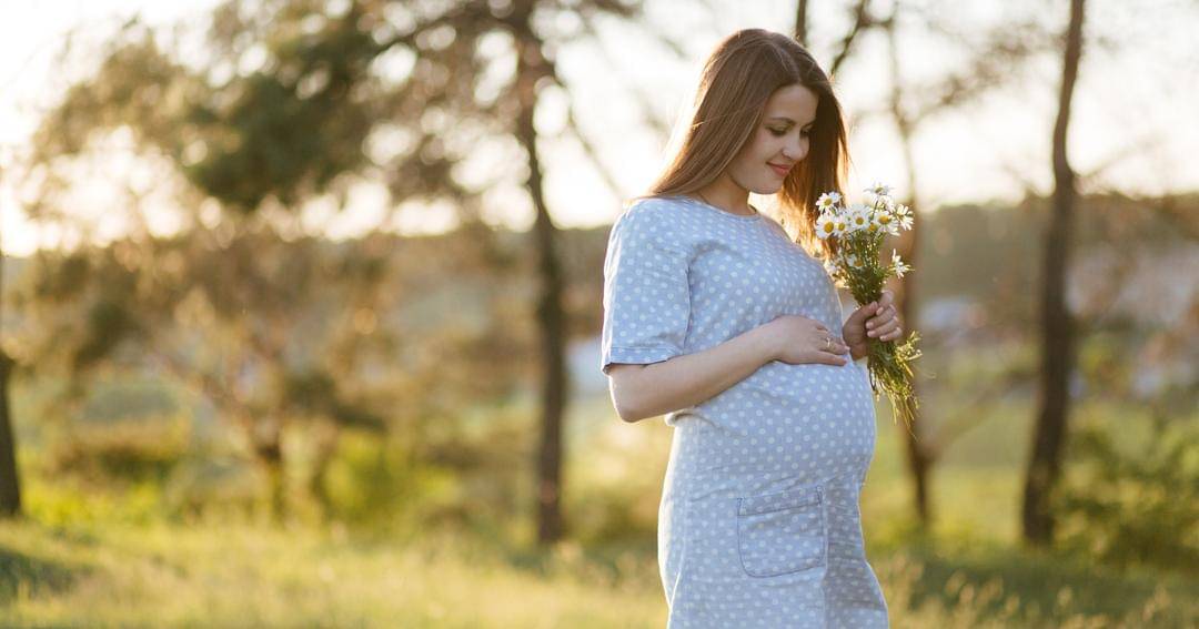 Freepik/bristekjegor